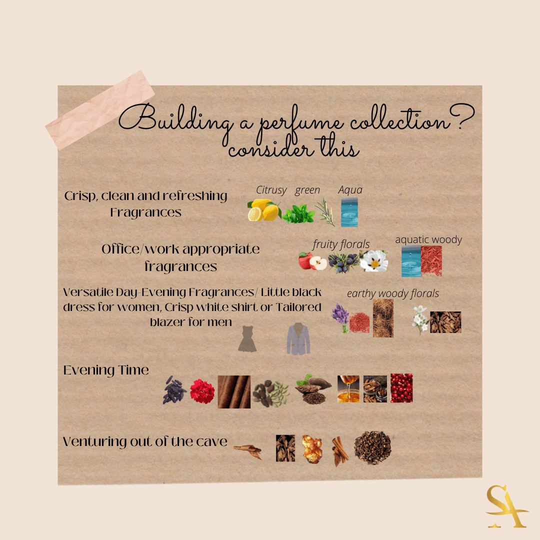 Building a perfume collection? All you need to know - Scents Avenue NG